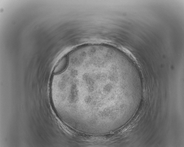 X0000061111183200512091809