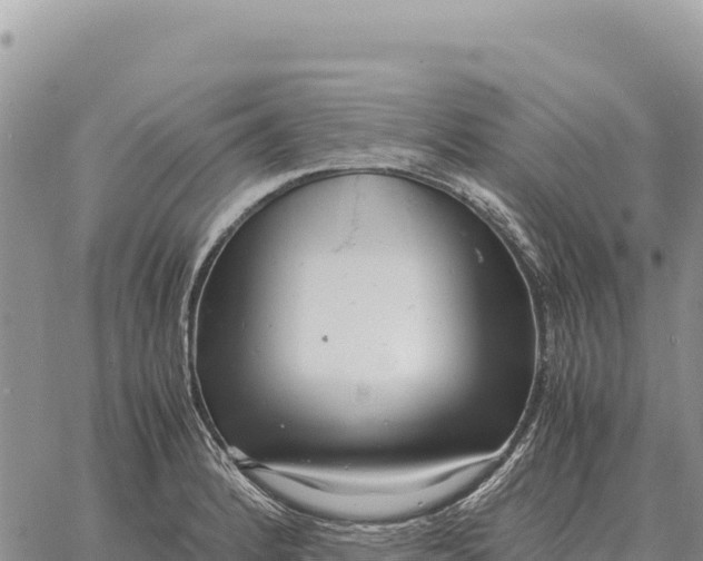 X0000061111184200512091809