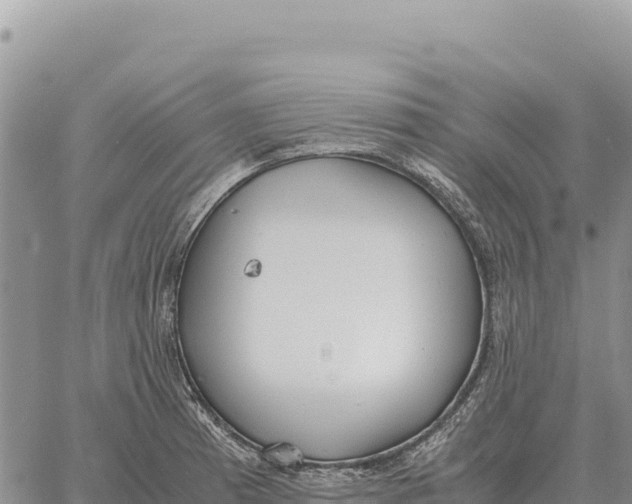 X0000061111185200512091809