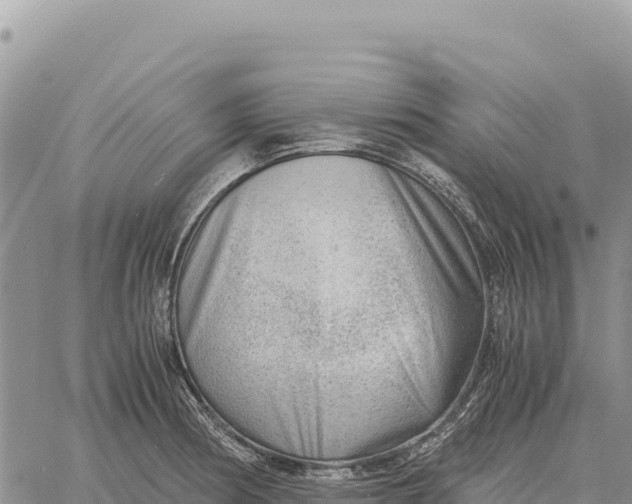 X0000061111186200512091809