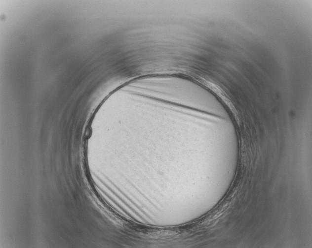 X0000061111187200512091809