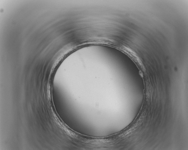 X0000061111188200512091809