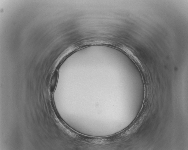 X0000061111189200512091809