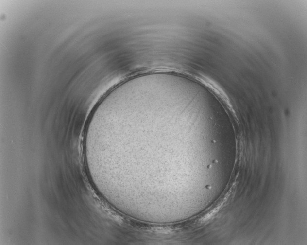 X0000061111190200512091809