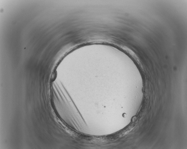 X0000061111191200512091809