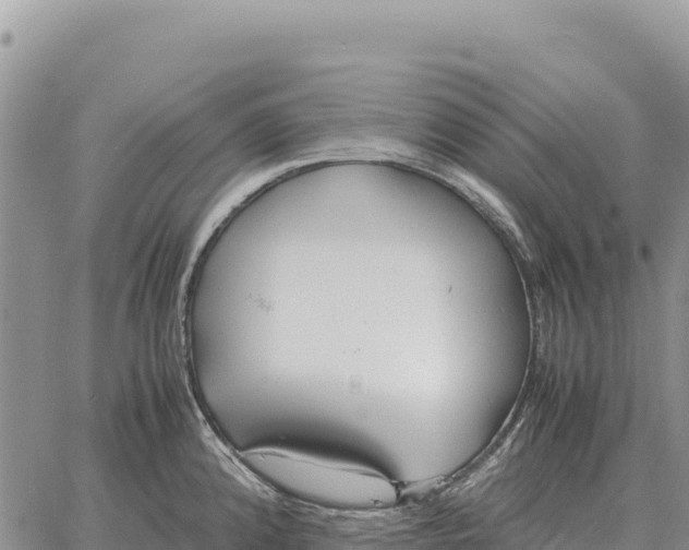 X0000061111192200512091809