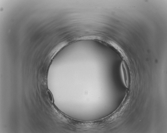 X0000061111193200512091809