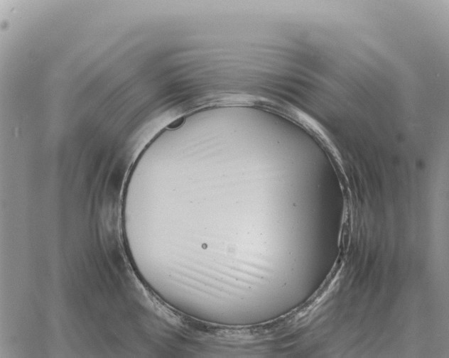 X0000061111194200512091809