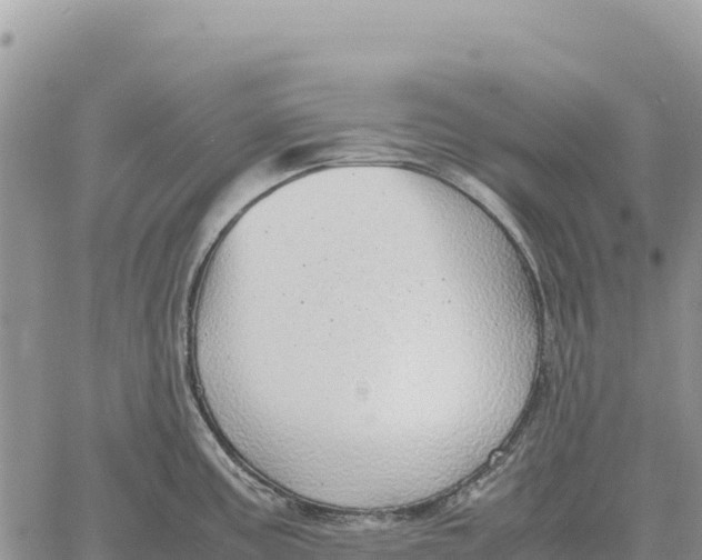 X0000061111195200512091809