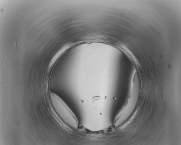 X0000061111196200512091809