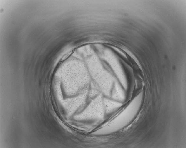 X0000061111197200512091809