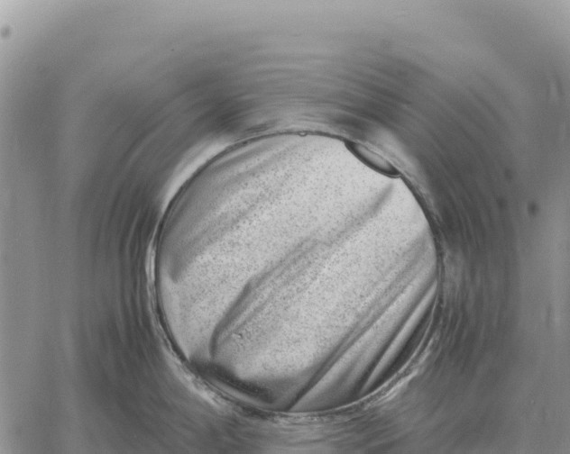 X0000061111198200512091809