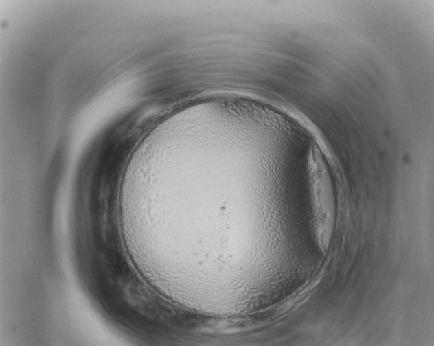 X0000061111199200512091809