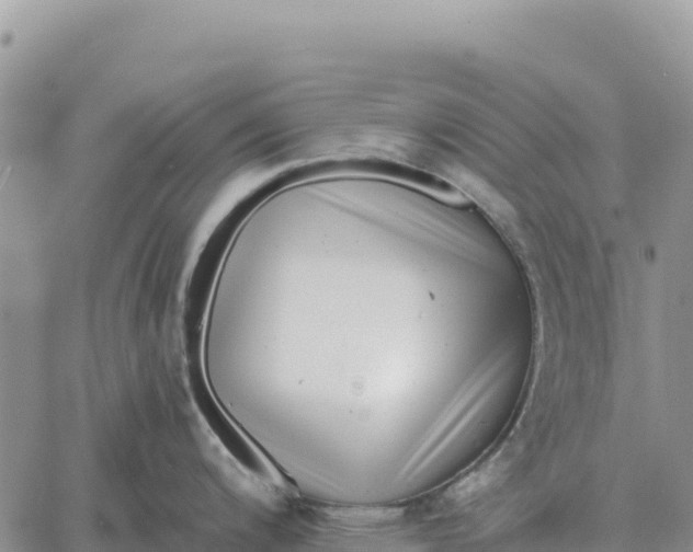 X0000061111200200512091809