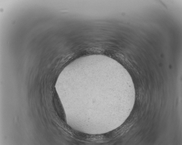 X0000061111201200512091808