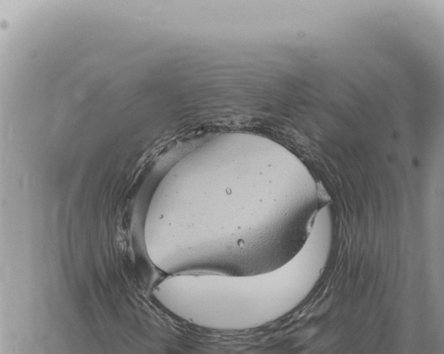 X0000061111202200512091808