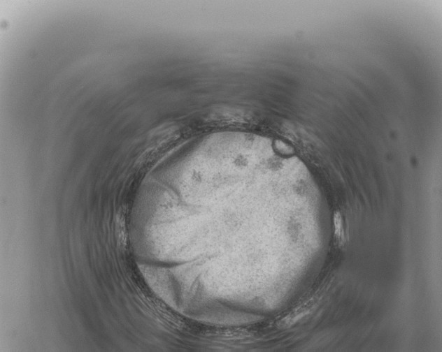 X0000061111203200512091808