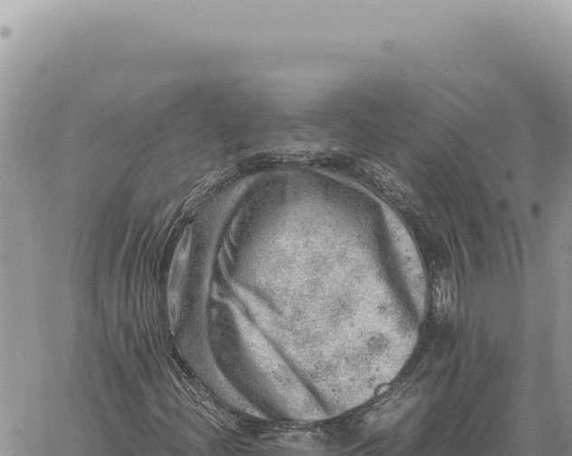 X0000061111204200512091808