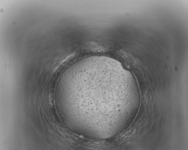 X0000061111205200512091808