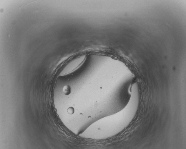 X0000061111206200512091808