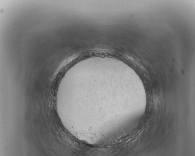 X0000061111207200512091808