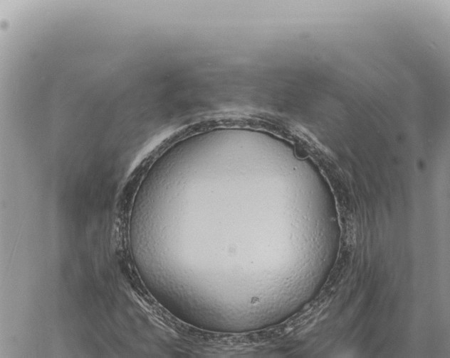 X0000061111208200512091808