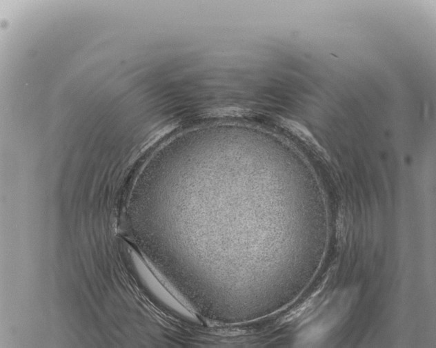 X0000061111209200512091808