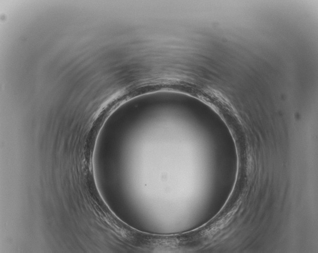 X0000061111210200512091808