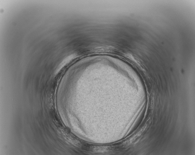 X0000061111211200512091808