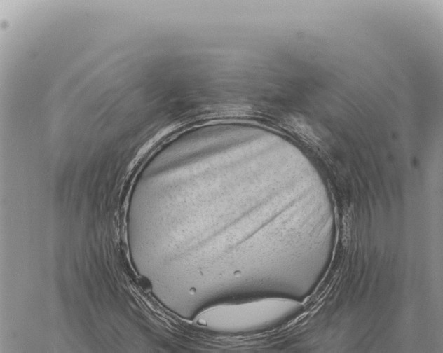 X0000061111212200512091808