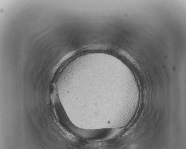 X0000061111213200512091808