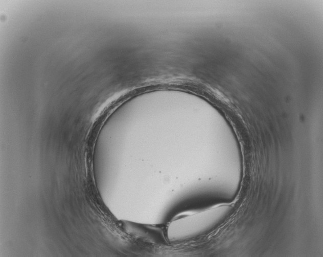 X0000061111214200512091808