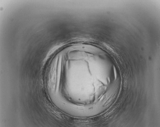 X0000061111215200512091808