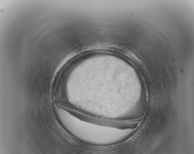 X0000061111216200512091808