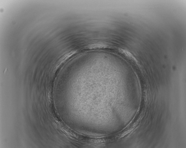 X0000061111217200512091808