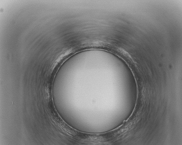 X0000061111218200512091809