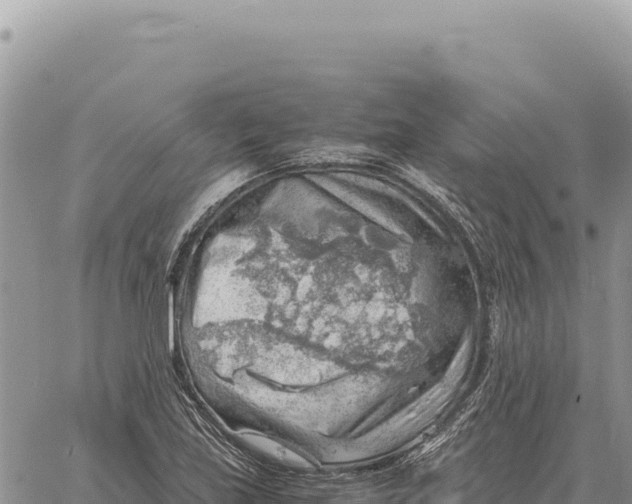 X0000061111219200512091809