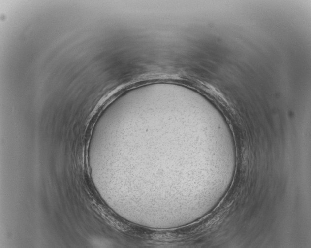 X0000061111220200512091809