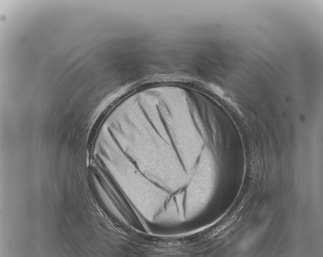 X0000061111221200512091809