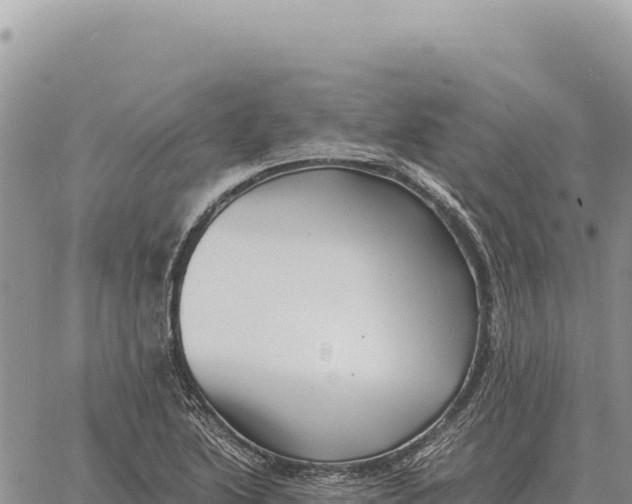 X0000061111222200512091809