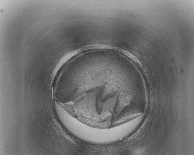 X0000061111223200512091809