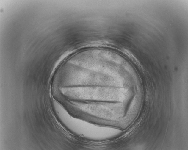 X0000061111224200512091809