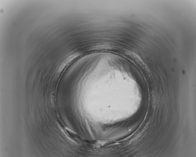 X0000061111225200512091809