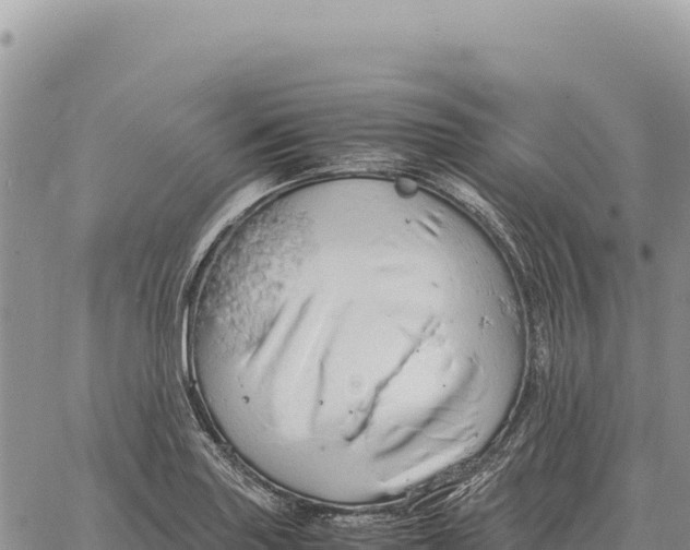 X0000061111227200512091809