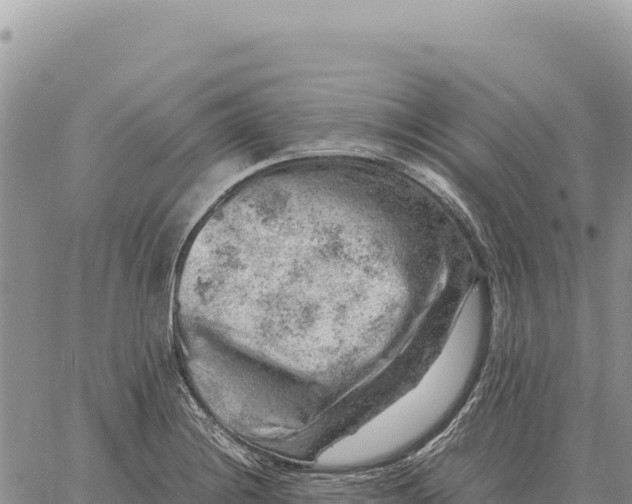 X0000061111228200512091809