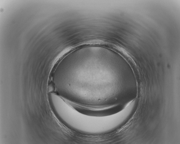 X0000061111229200512091809