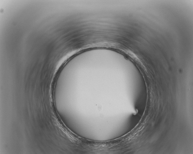 X0000061111230200512091809