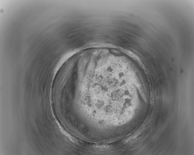 X0000061111231200512091809