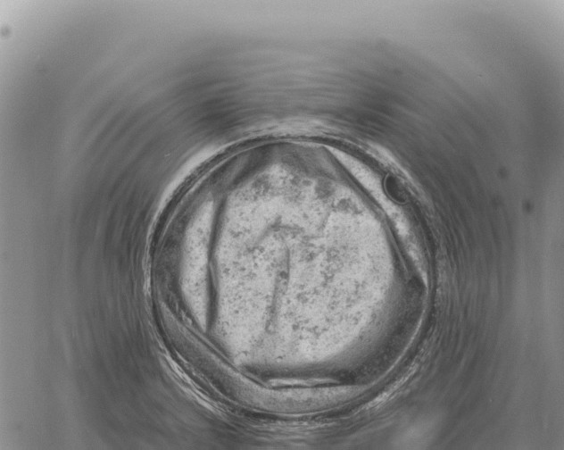 X0000061111232200512091809