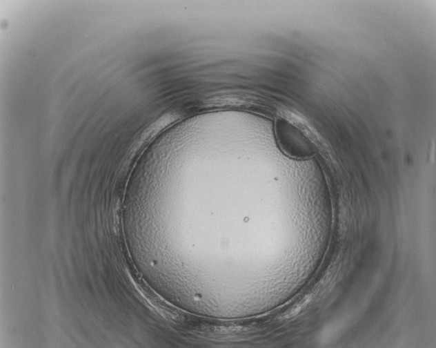 X0000061111233200512091809